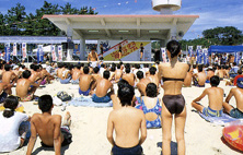 美浜海遊祭